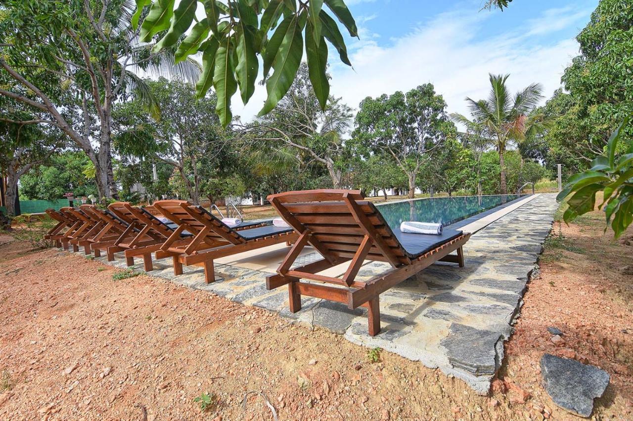 Dambulla Hills Resort Exterior foto